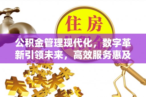 沿滩公积金管理现代化，数字革新引领未来，高效服务惠及民生