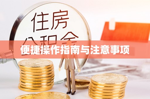 沿滩便捷操作指南与注意事项
